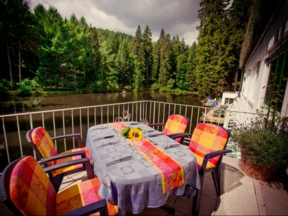 Foto: Langenwaldsee